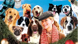 12 Dogs of Christmas