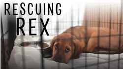 Rescuing Rex