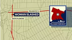 Woman slashed by razor and robbed at Pelham Parkway station