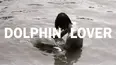 Dolphin Lover