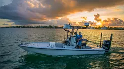 Baby Tarpon and Bones