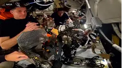 Spaceflight and the human body: What zero gravity does