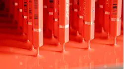 Why Professional Colored Pencils Cost 14 Times More Than Crayola