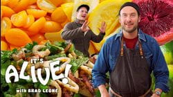Brad Makes Fermented Citrus Fruits