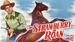 The Strawberry Roan
