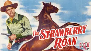 The Strawberry Roan