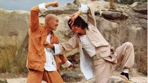 Kung Fu Genius