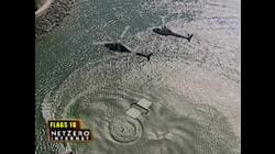 Classic Fear Factor