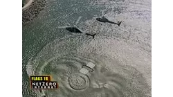 Classic Fear Factor