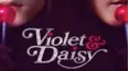 Violet & Daisy