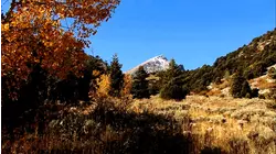 Great Basin (1980)