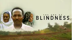 The End of Blindness