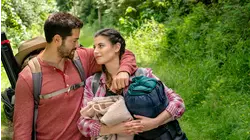 Forest Through the Trees