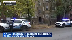 1-year-old child shot, critically injured on South Side: CPD