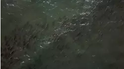 Captain's Log S2:E7 "Cajun Rendezvous" Part2