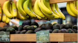 New Report Finds Produce Imported Into US is 'Rarely' Inspected