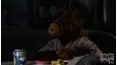 ALF