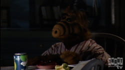 ALF: S2 E5 - Prime Time