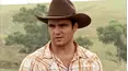McLeod's Daughters