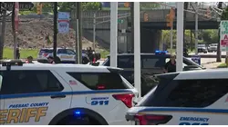 Four pedestrians struck, crossing guard killed in two days in Woodland Park