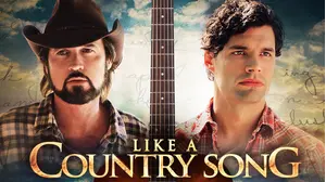 Like a Country Song