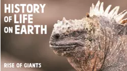 Rise of the Giants