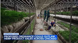 City Council committee to consider ban on sale of hemp products