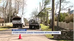 Tree damage from storm closes roads in Greenwich