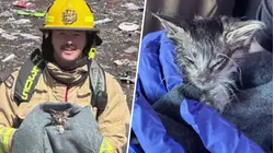 Firefighters Battle Landfill Fire, Rescue Kitten Stuck Inside Debris