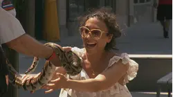Snakes in the mailbox