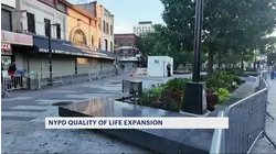 NYC expands NYPD's Quality-of-Life division