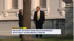 Former Stamford resident and White House chief of staff Susie Wiles diagnosed with earlystage breast cancer