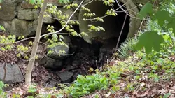 Mount Vernon officials address concerns about possible sewage contamination at Hunts Woods Park