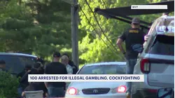 Massive illegal gambling and cockfighting ring busted inside Tolland home