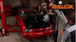 Dark Horse/ Candy Paint Crash Course