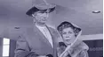 The Beverly Hillbillies