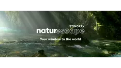 Mystical River Relaxation