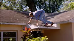 A Gnawing Problem -- Zombie House Flipping