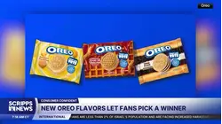 Oreo unveils 3 new flavors, lets fans pick permanent cookie