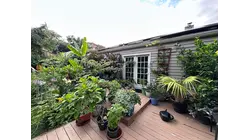 Nor'easter this weekend: Here's how you can prepare your patio garden