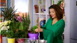 The Dodecanese for Dinner