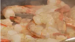How To Do Shrimping And Surf Fishing