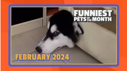 Ep. 1.3