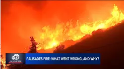 'I am Sorry': LAFD firefighter who planned for January fires says the plan 'wasn't enough'