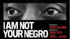 I Am Not Your Negro