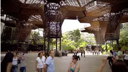 Medellín