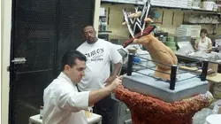 Punches, Psychics and Pastries