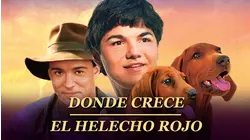 Where the Red Fern Grows