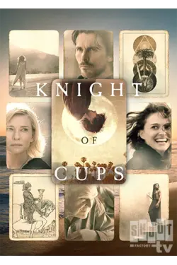 Knight Of Cups