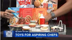 Sam's Toy Box: Yes Chef